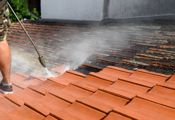 Best Pressure Washing Siding  in Statham, GA