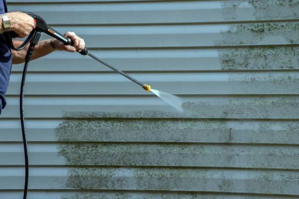 Best Deck Cleaning Services  in Statham, GA